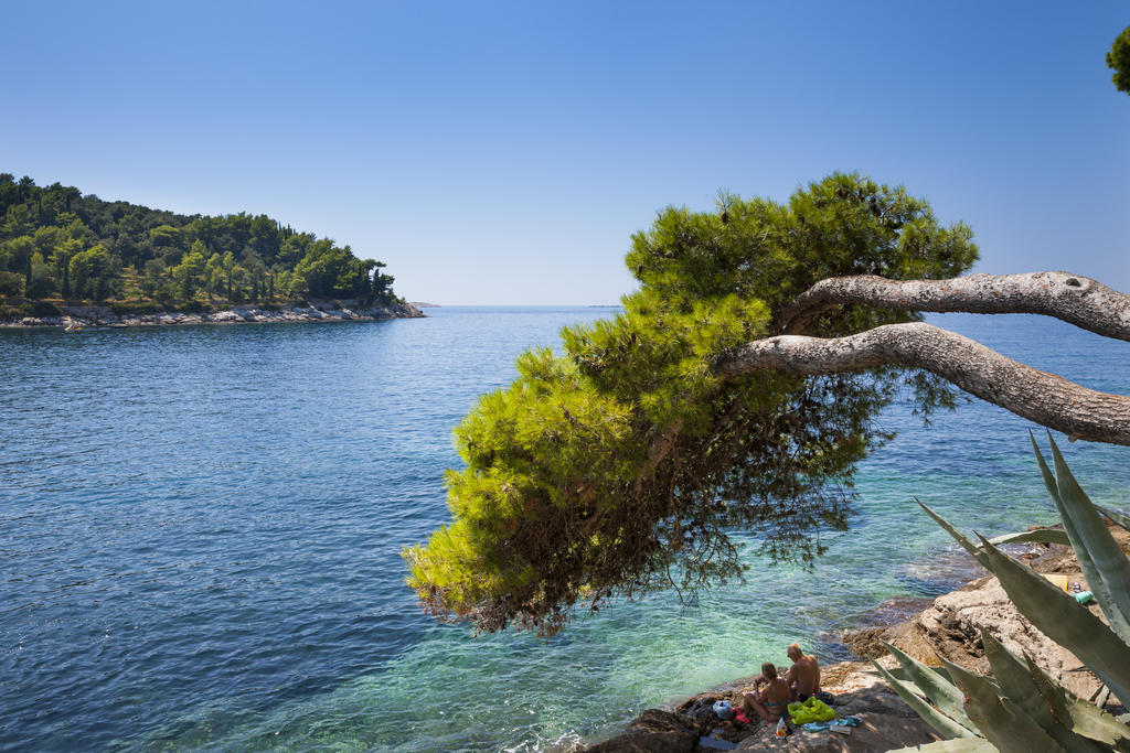 Albatros 4* Cavtat